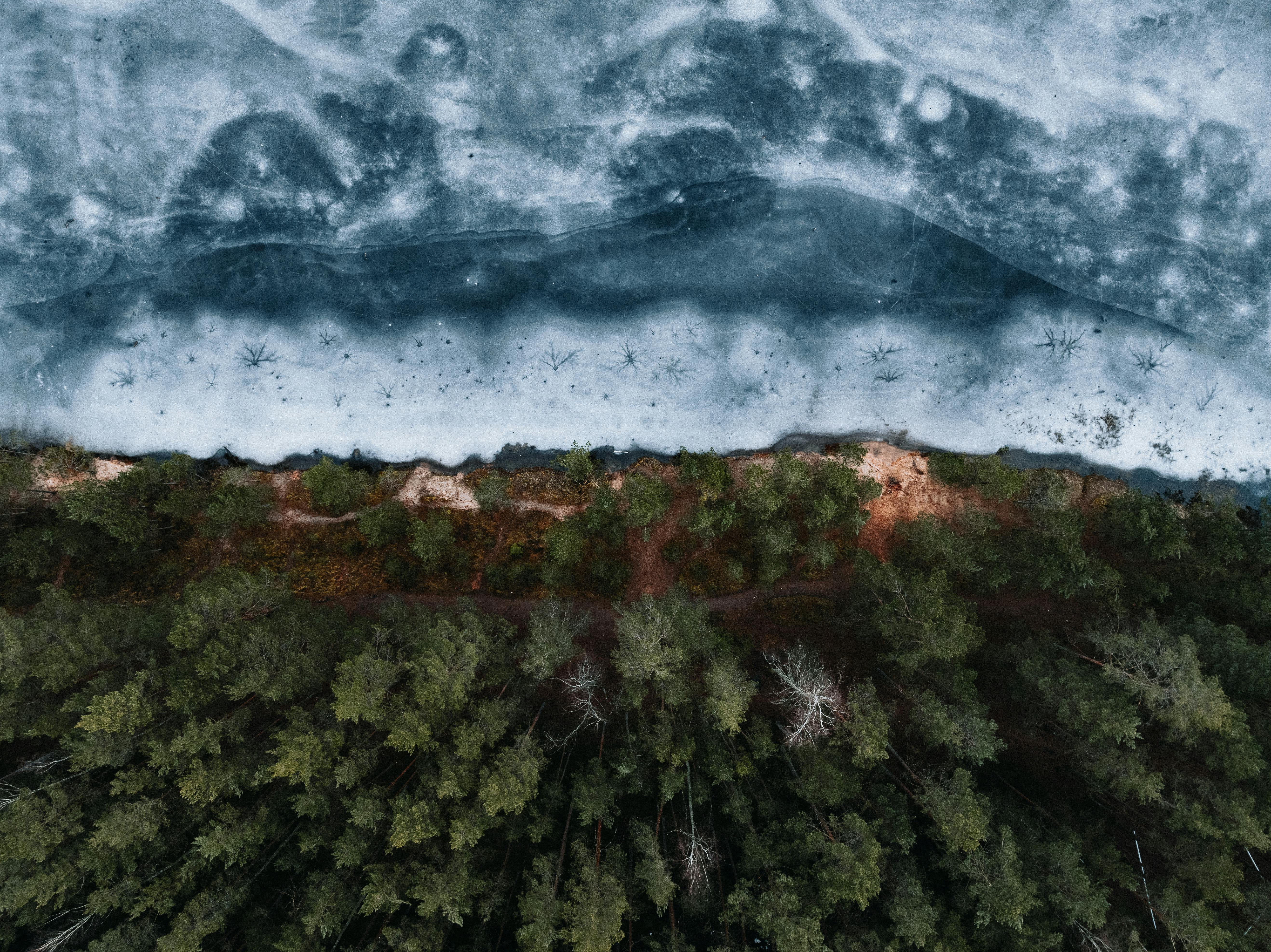 Top View of a Forest and Shore of a Frozen Body of Water