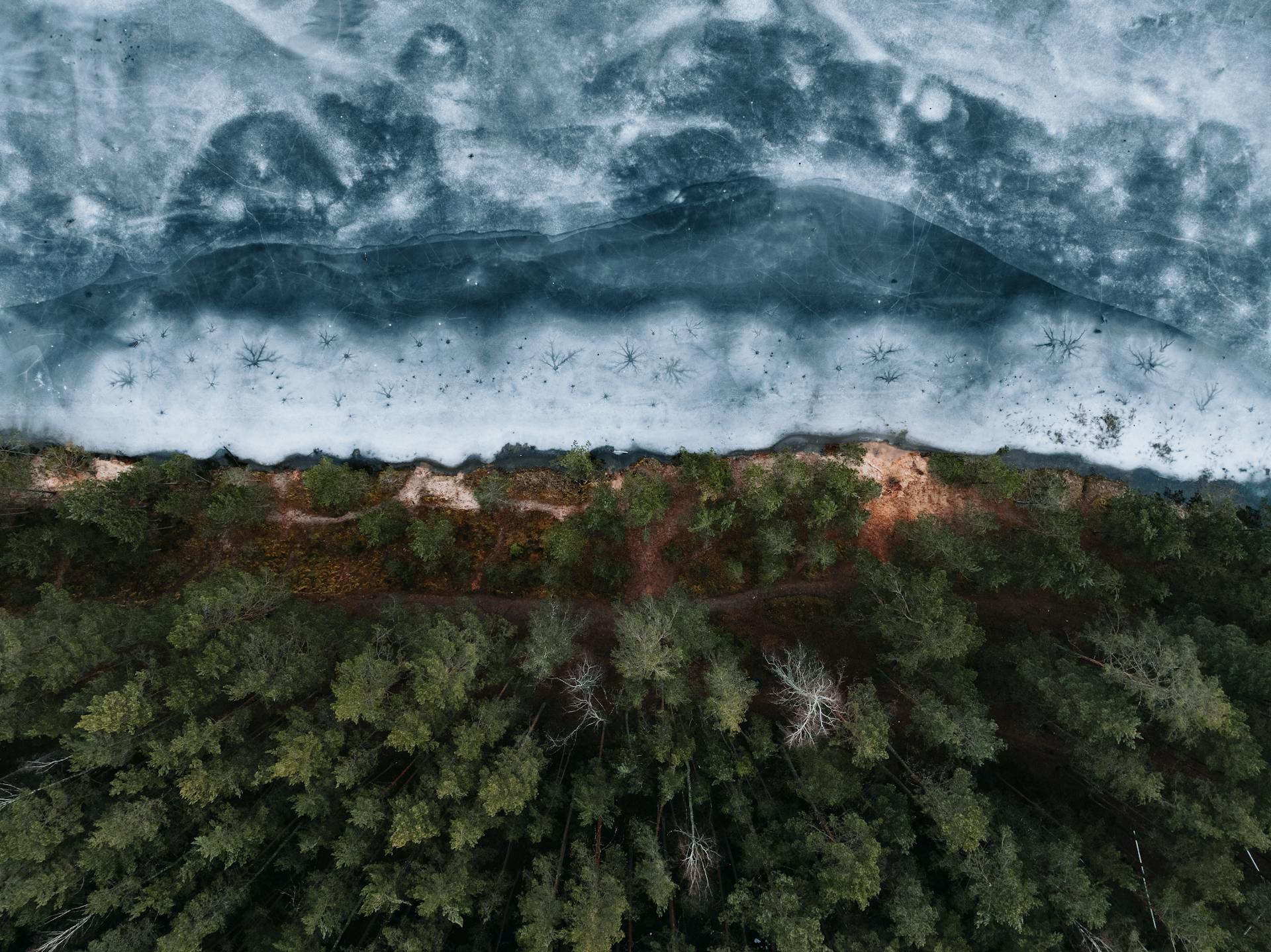 Top View of a Forest and Shore of a Frozen Body of Water