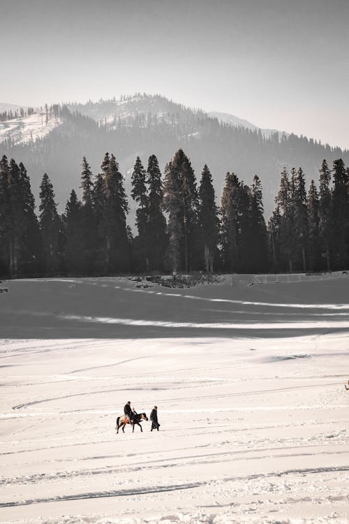 A man riding a horse through the snow