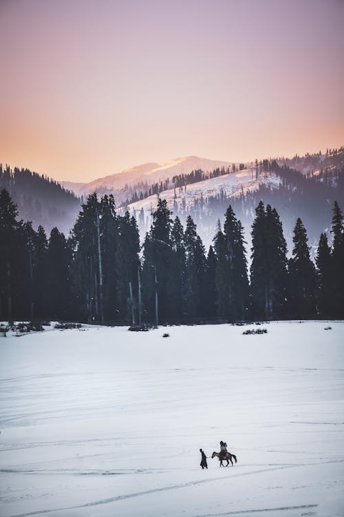 Two people riding horses in the snow