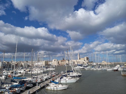 A marina with many boats docked in it