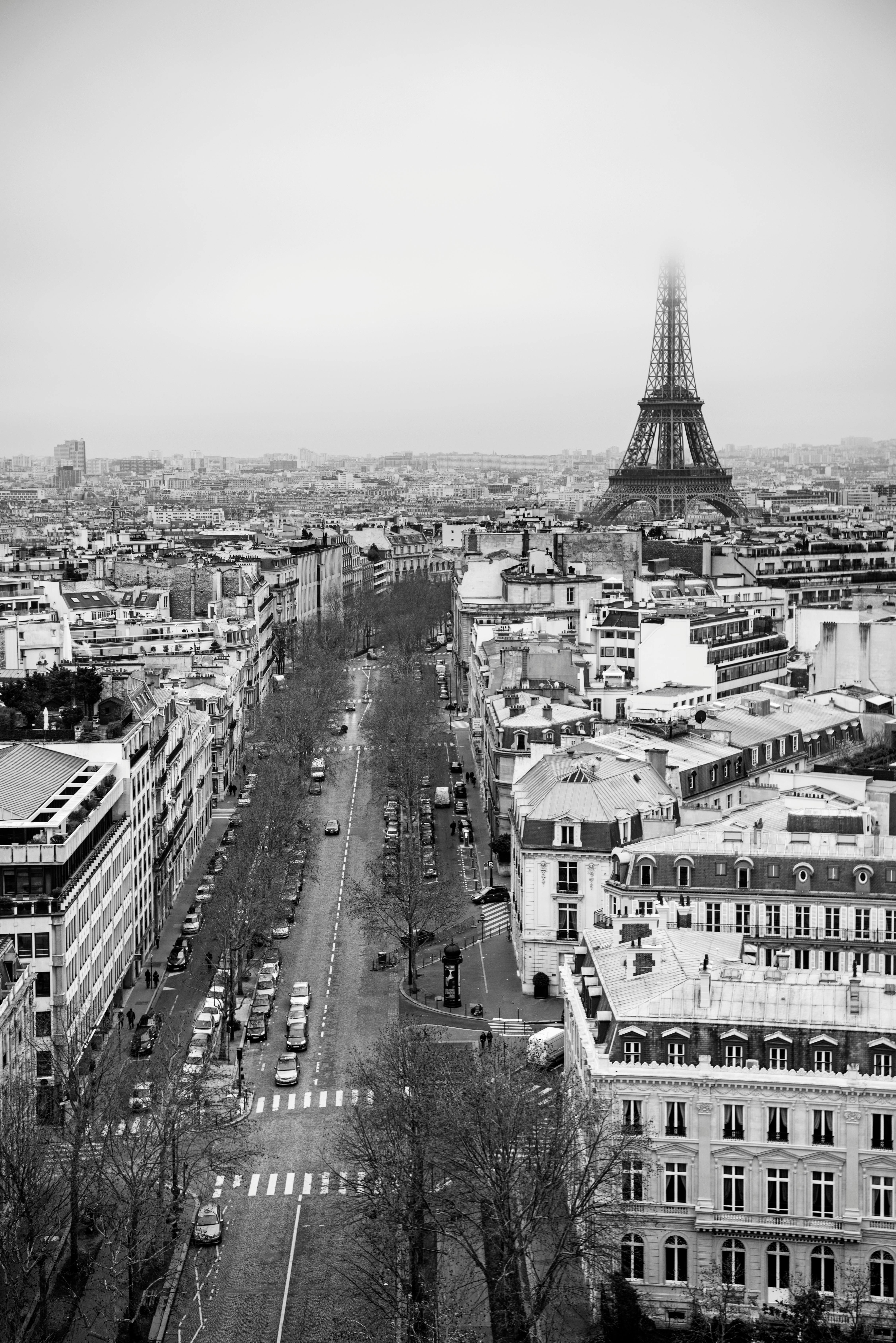 pexels-photo-20491134.jpeg?