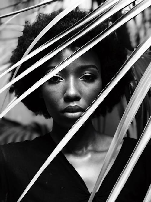 Gratuit Imagine de stoc gratuită din adult, afro, alb-negru Fotografie de stoc