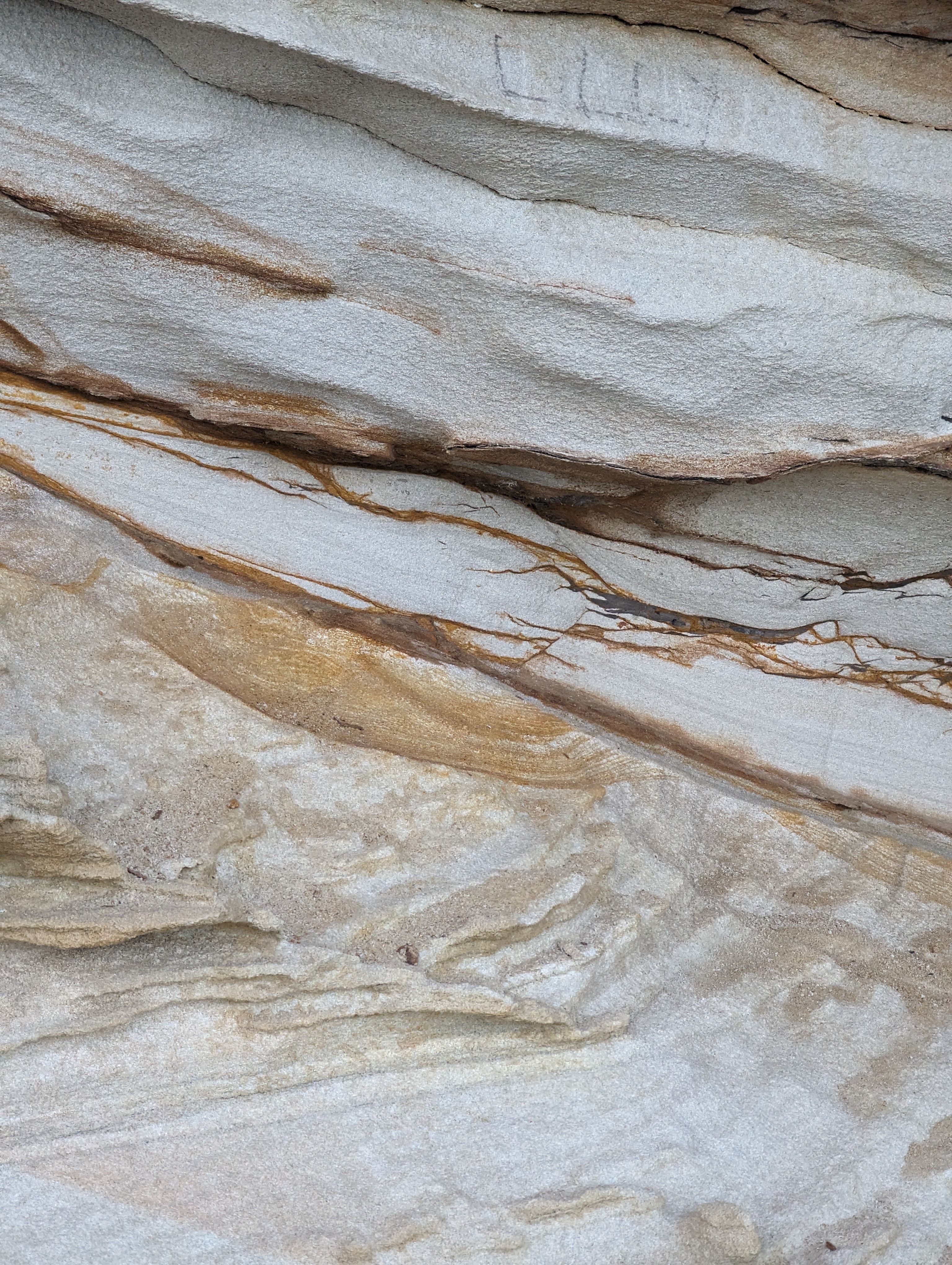 Close-up of eroded rock showcasing layered textures and natural geology.