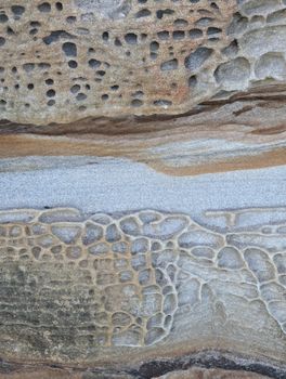 Detailed view of a naturally eroded rock with unique textures and patterns.
