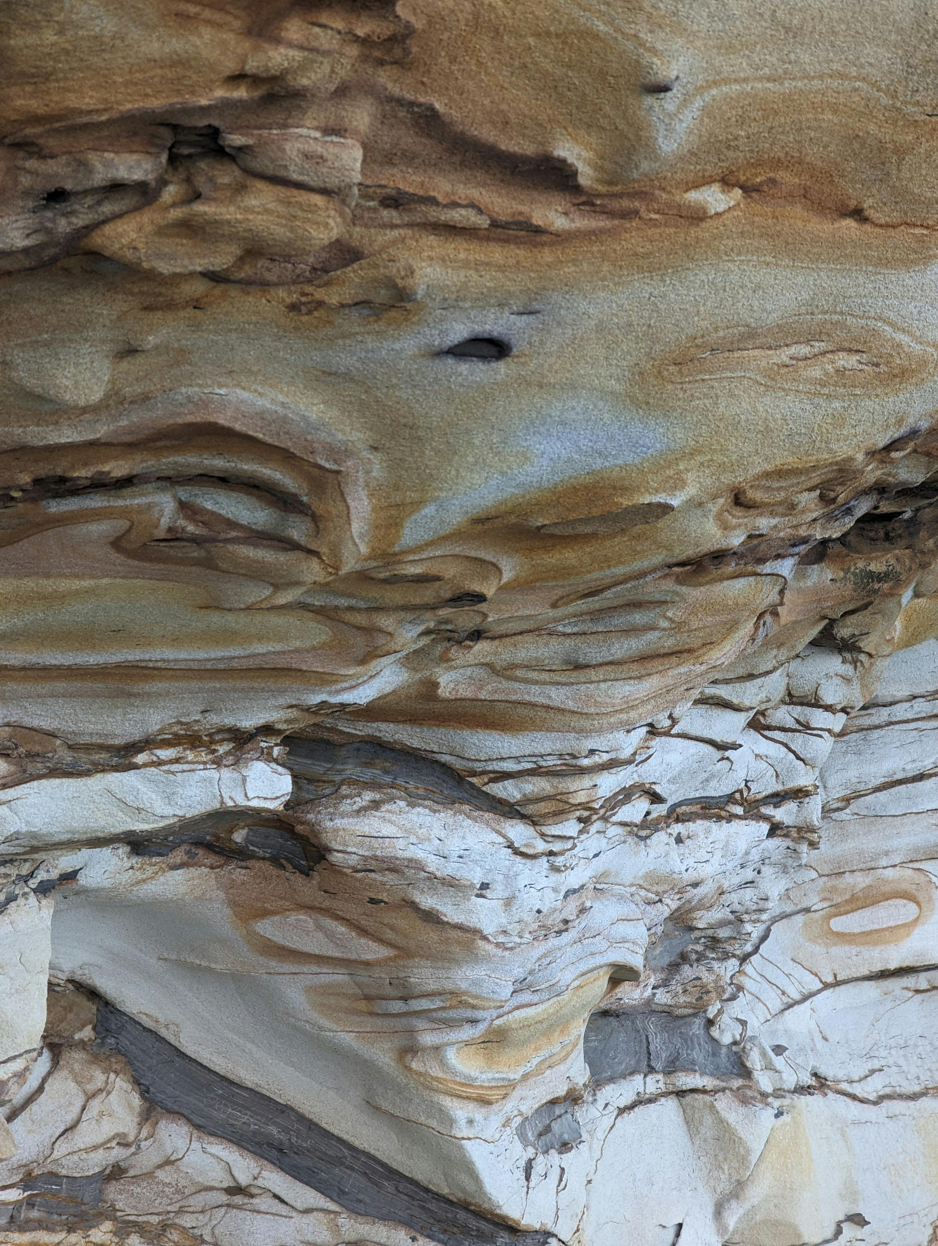 Detailed view of layered eroded sandstone showcasing intricate geological textures.