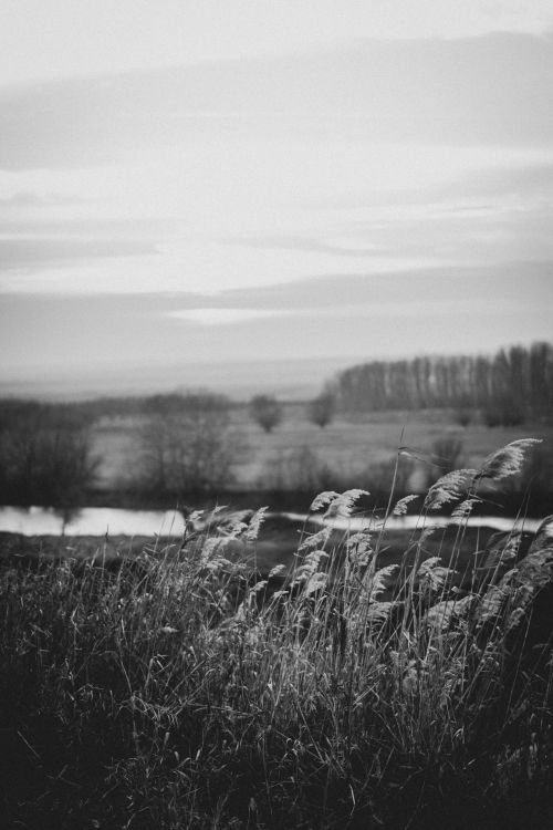 Free A tranquil black and white landscape capturing serene countryside views. Stock Photo