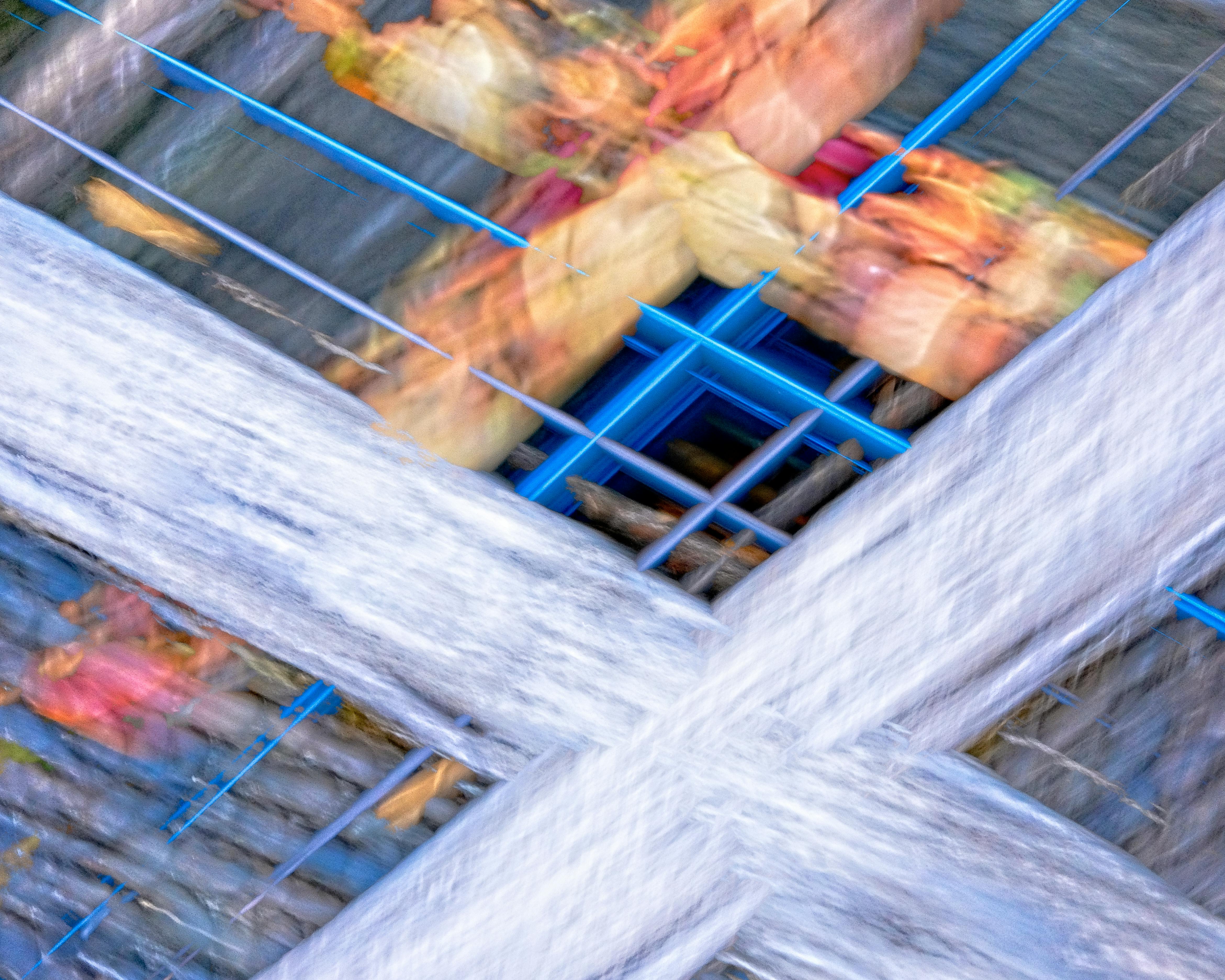 Tri-Color Background · Free Stock Photo