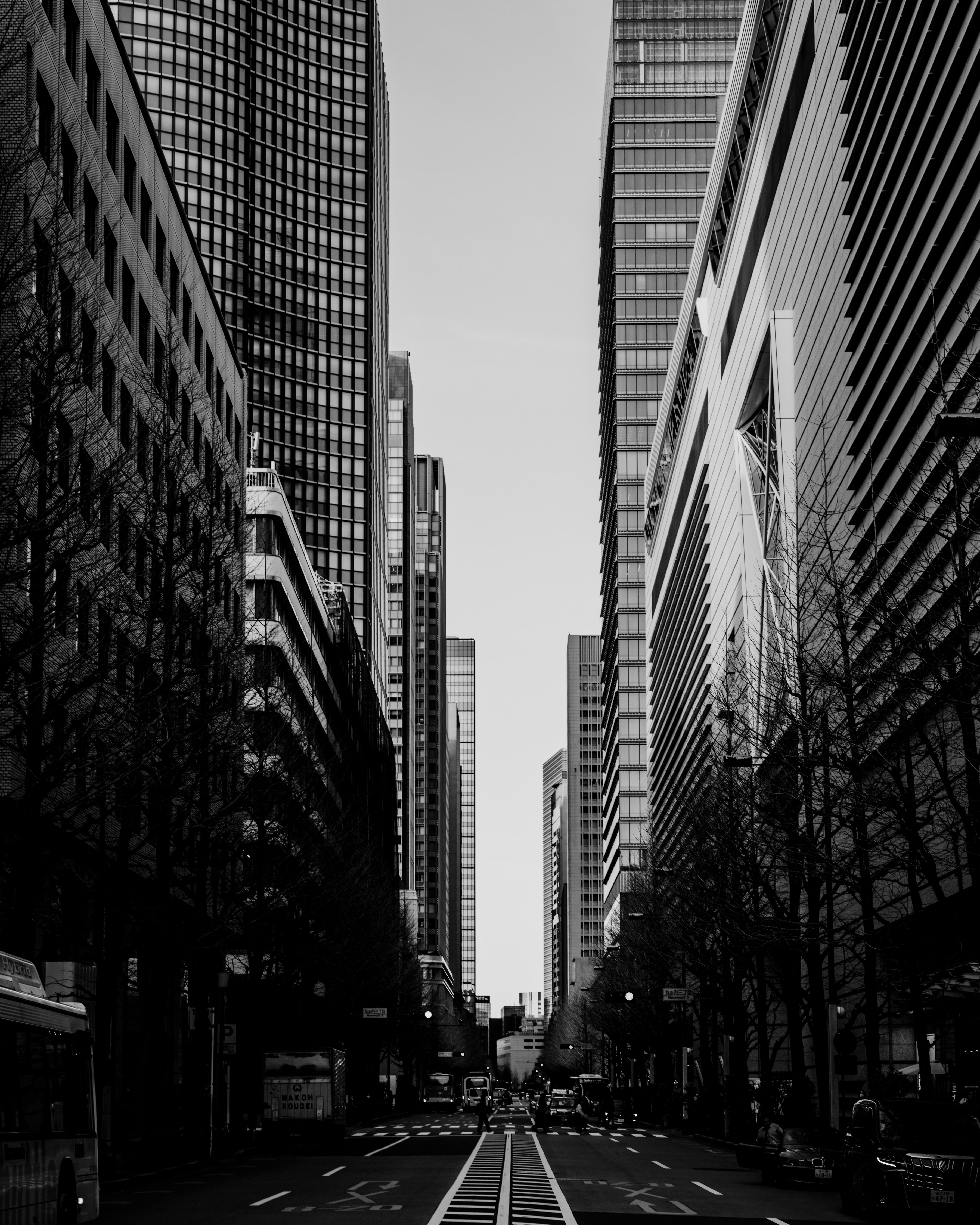 Tokio Cityscape In Black and White · Free Stock Photo