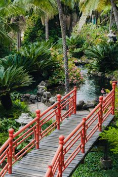 Explore the tranquil beauty of a tropical Japanese garden with a vibrant red bridge, lush plants, and serene pond.