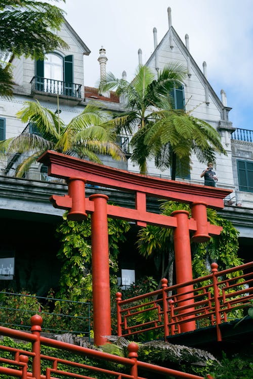 Gratis stockfoto met attractie, lokale bezienswaardigheden, madeira