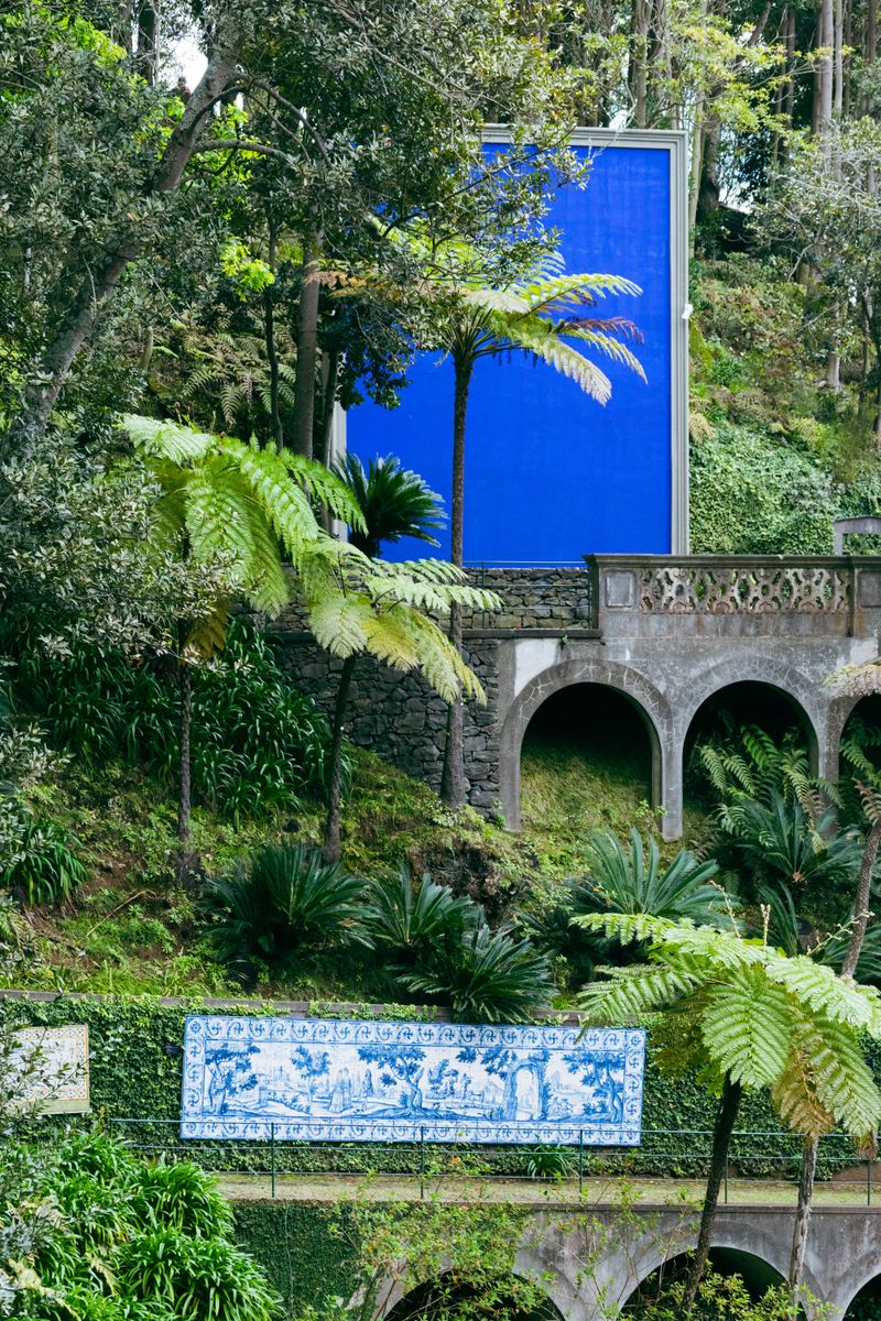 Alee și vegetație exotică în grădina Monte Palace, Funchal