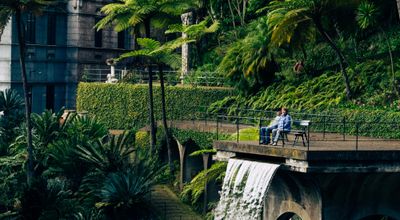 Cascata e vegetação tropical exuberante junto a uma levada da Madeira — como a vegetação afeta telhados e fachadas próximos Cascata e vegetação tropical exuberante junto a uma levada da Madeira — como a vegetação afeta telhados e fachadas próximos