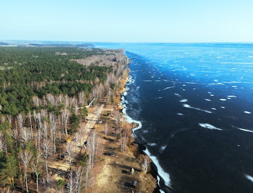 Aerial View of a Coastline with a Forest and Blue Water 