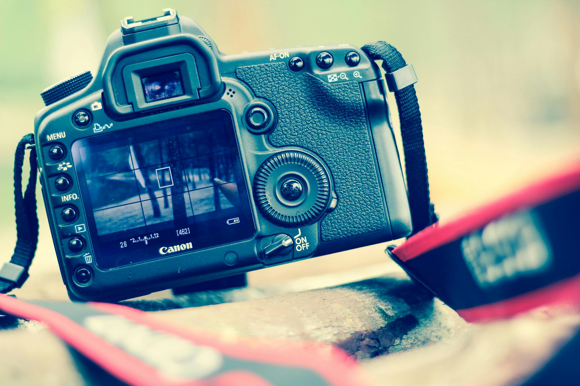 Black Sony Dslr Camera on Green Grass in Front of Brown ...