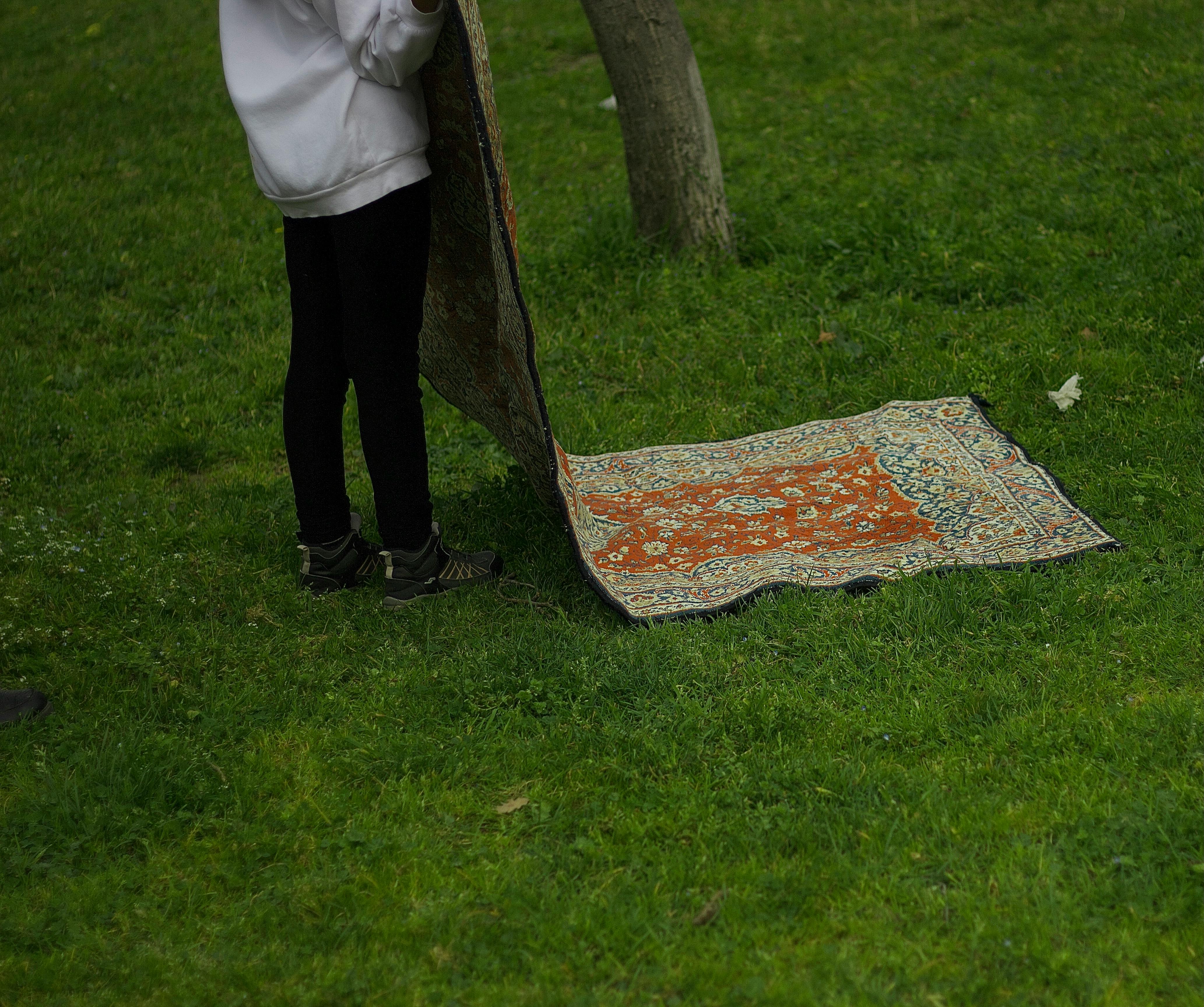 Free stock photo of amazon rain forest, amazon rainforest, autumn