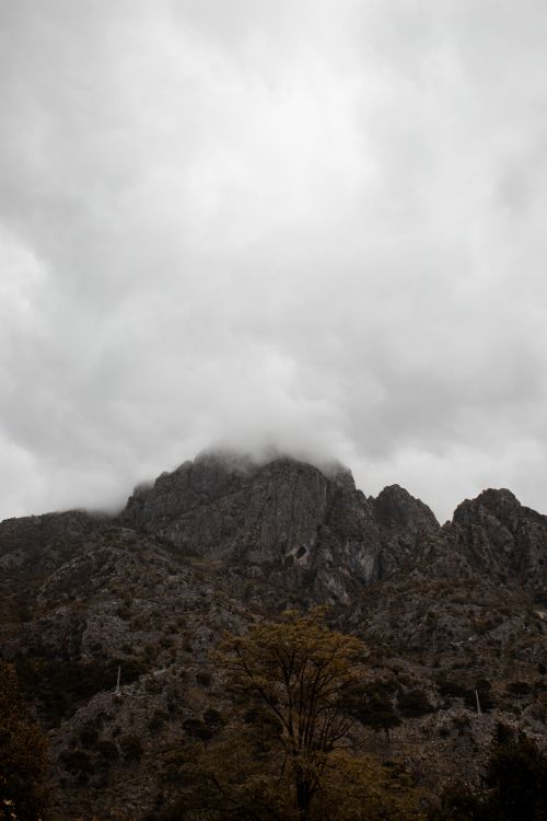 Free Discover the moody atmosphere of Montenegro's mountainous region, shrouded in fog and mystery. Stock Photo