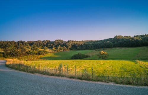 Foto profissional grátis de beleza na natureza, natureza bela, pôr do sol