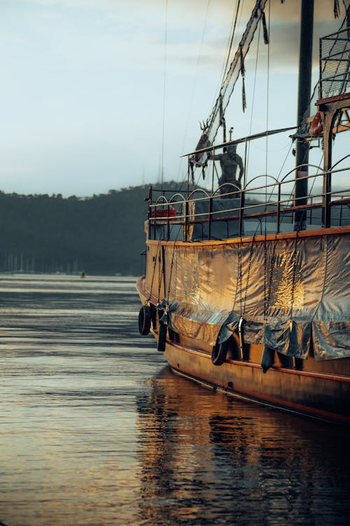 Darmowe zdjęcie z galerii z drzewa, pionowy strzał, port