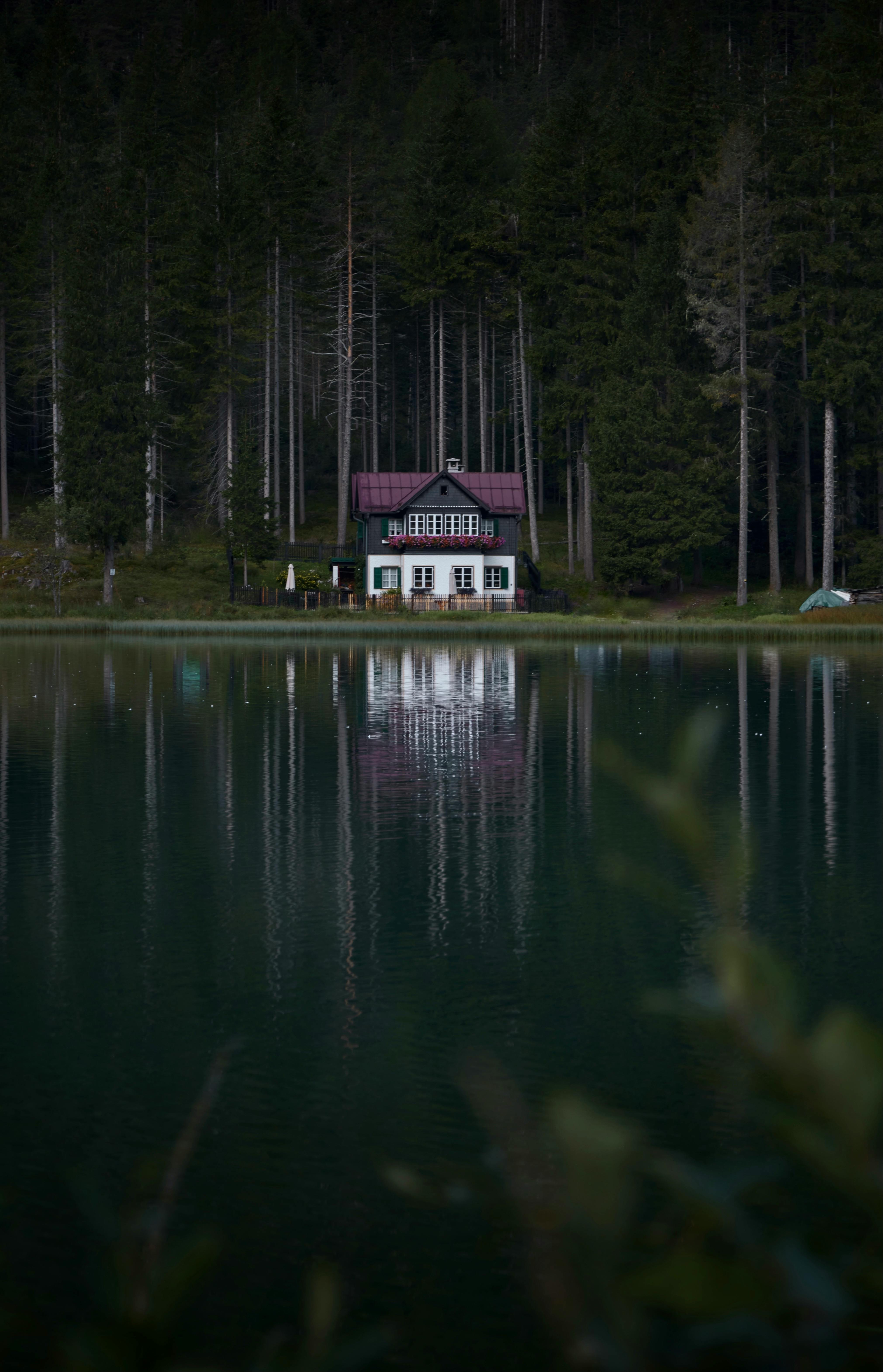 A picturesque cabin set against a serene lake and dense forest backdrop, perfect for nature lovers.