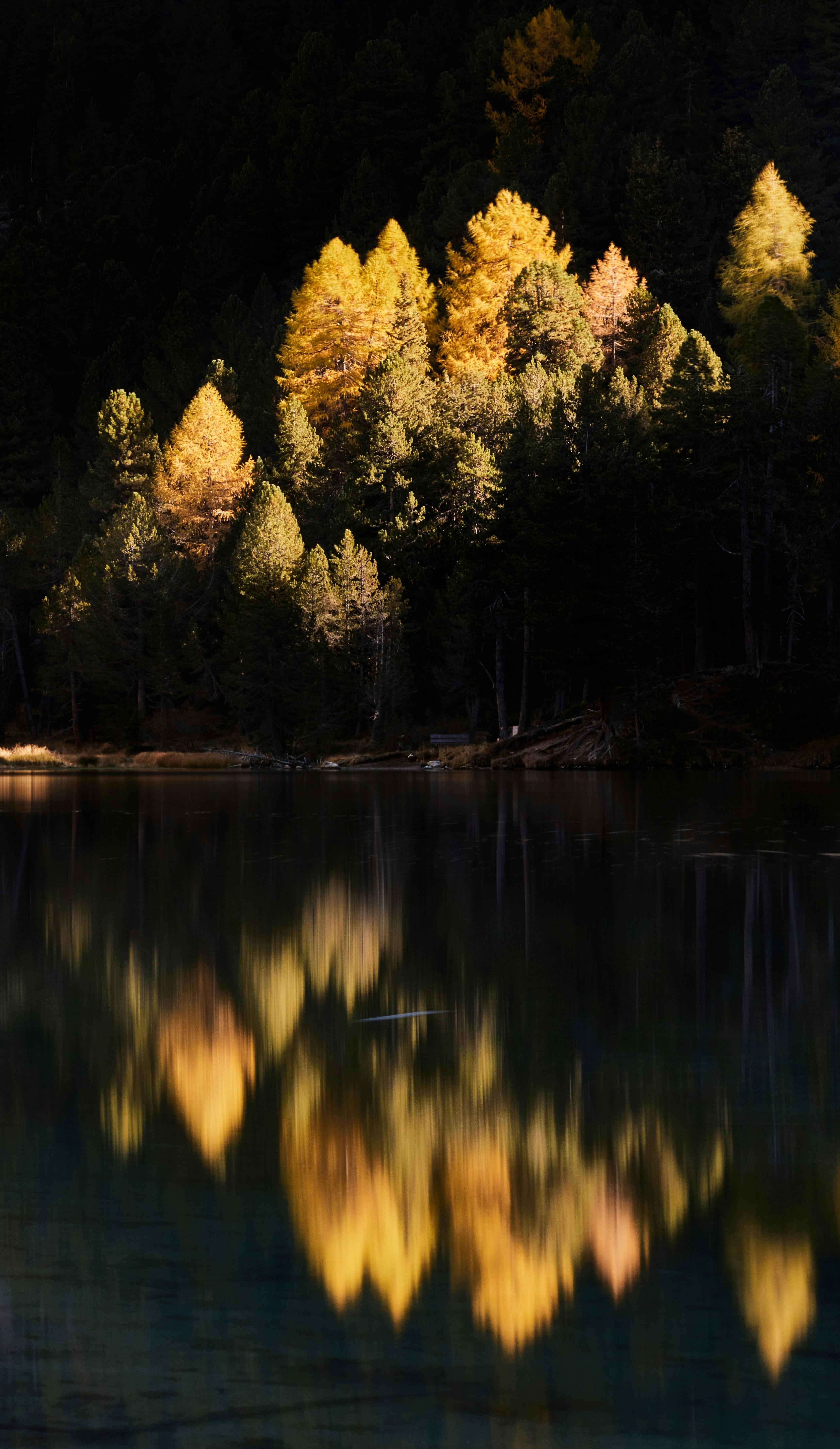 Colorful autumn trees casting reflections on a peaceful lake, creating a tranquil scene.