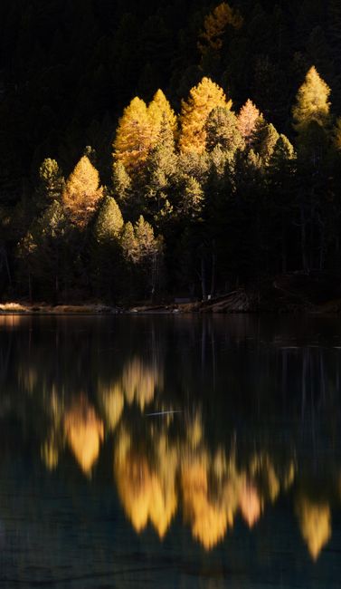 Colorful autumn trees casting reflections on a peaceful lake, creating a tranquil scene.