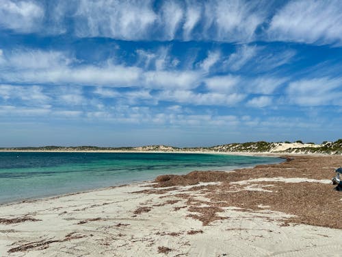 Ingyenes stockfotó dél-ausztrál part, strand, tenger témában