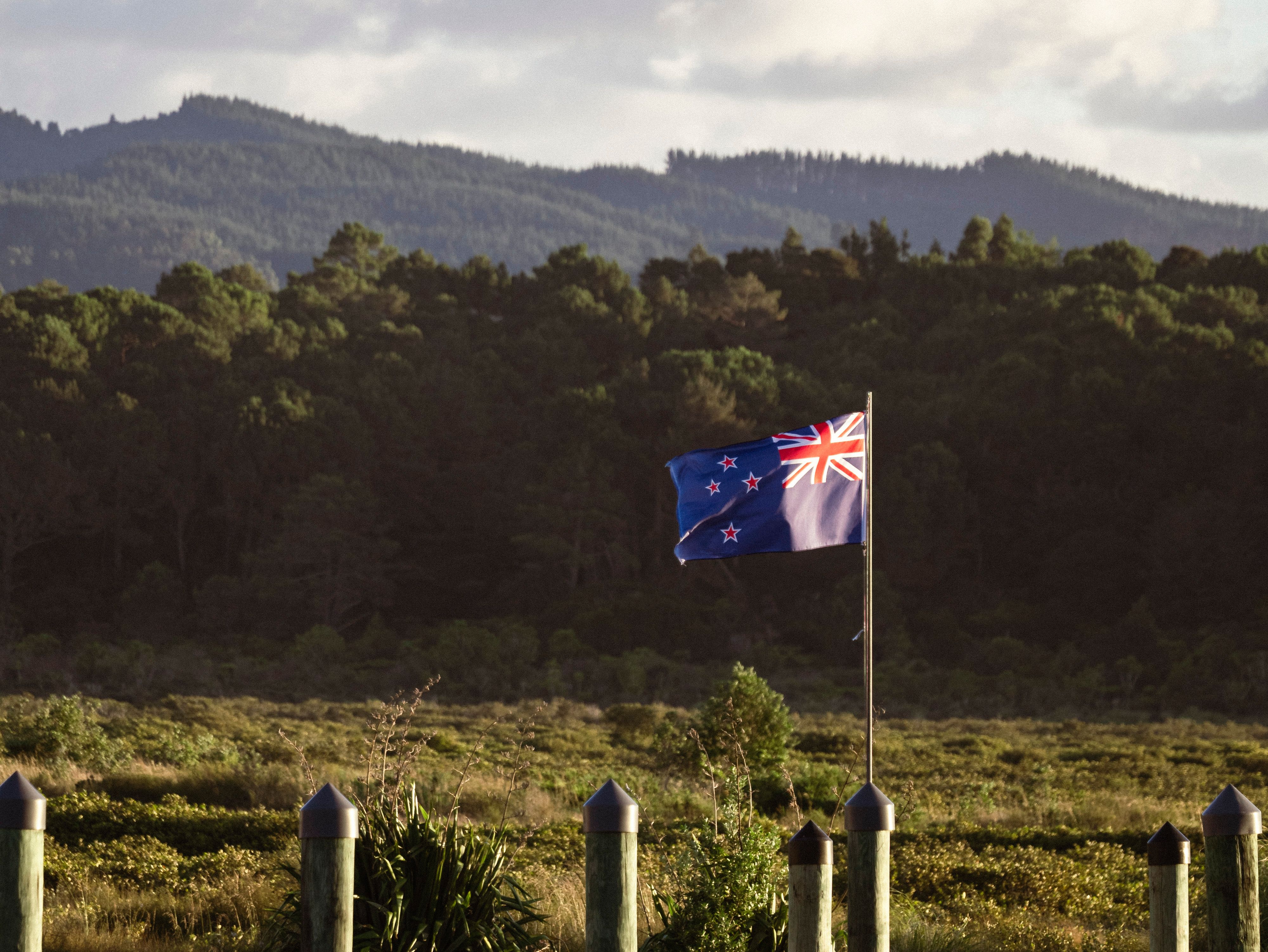 general travel new zealand — Photo by Mario Amé on Pexels