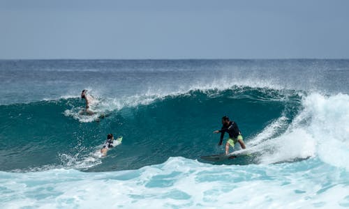 Kostnadsfri bild av surfa, surfare, surfingbräda
