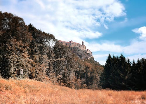 中世紀, 城堡, 天性 的 免費圖庫相片