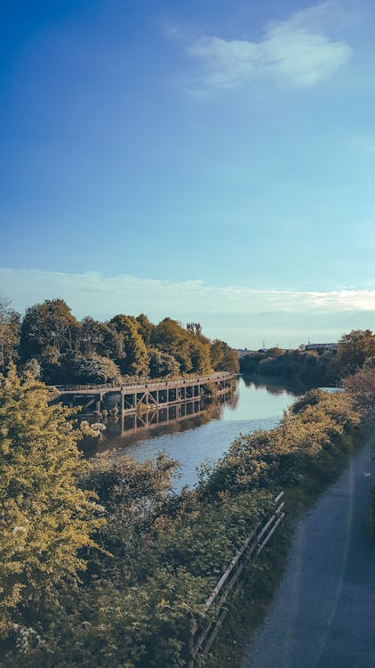 Free Bridge and Bushes by a Canal Stock Photo