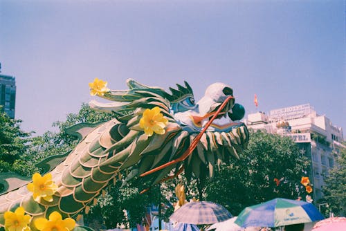 Photos gratuites de citadin, décoration, dragon vietnamien