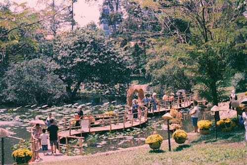 A group of people standing on a bridge over a pond