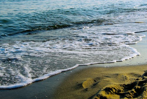 Gratis lagerfoto af bølge, hav, sand
