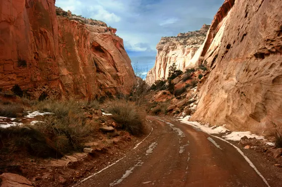 The green Fruita orchards beneath red cliffs, Capitol Reef