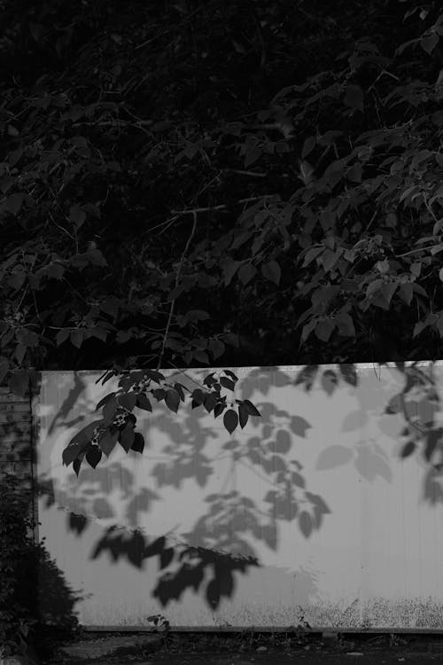 垂直ショット, 壁, 夜の無料の写真素材