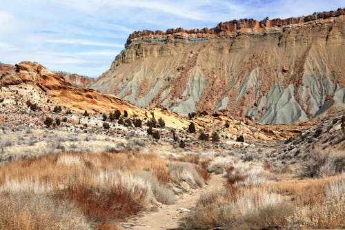 Foto profissional grátis de deserto, estéril, EUA