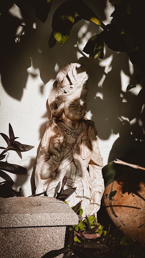Darmowe zdjęcie z galerii z cień, ogród, pionowy strzał