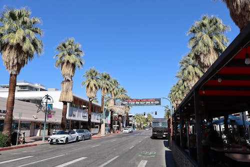 A street with palm trees and a sign that says, palm trees