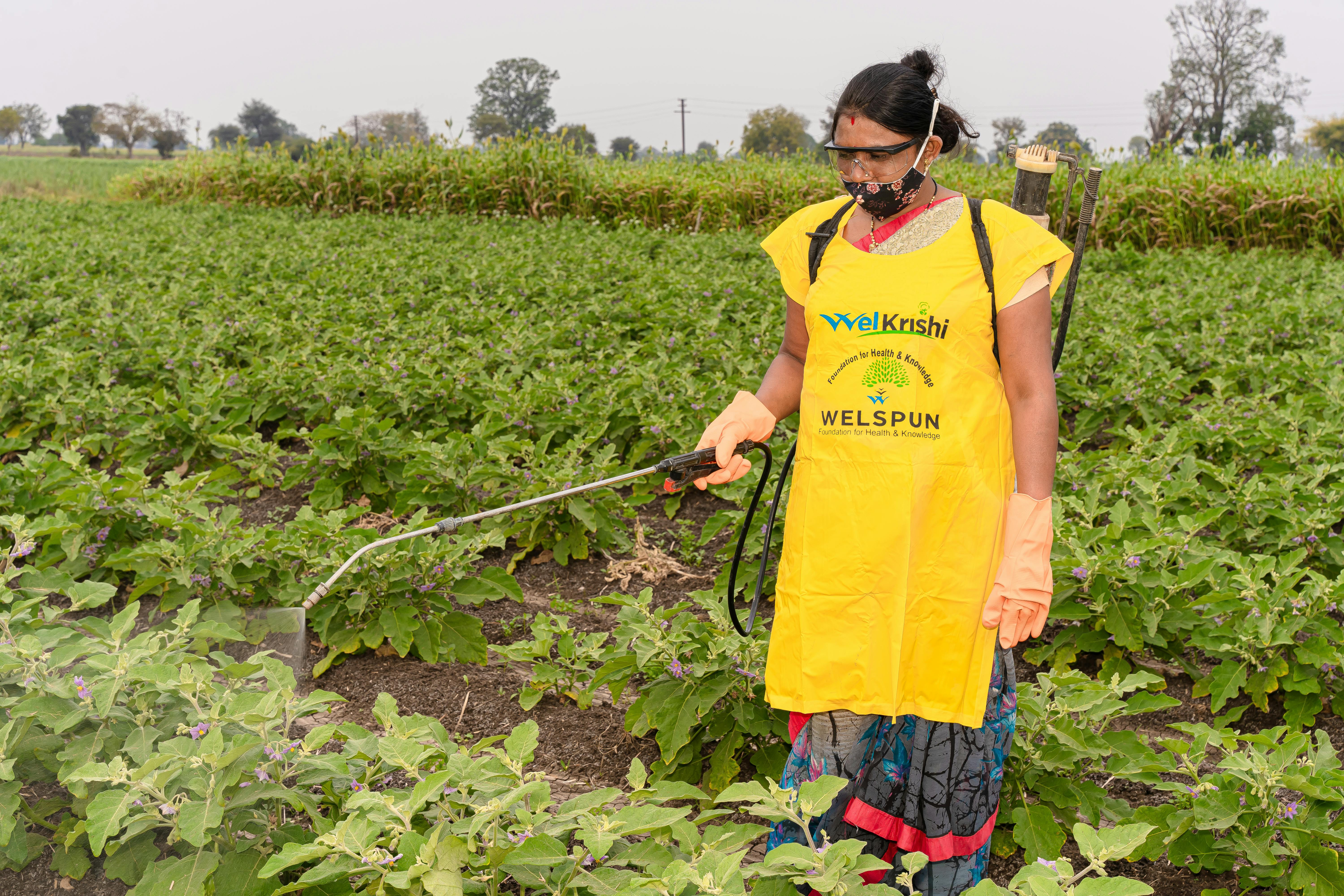 Best Garden Sprayers for Fertilizer and Pesticides (2026)