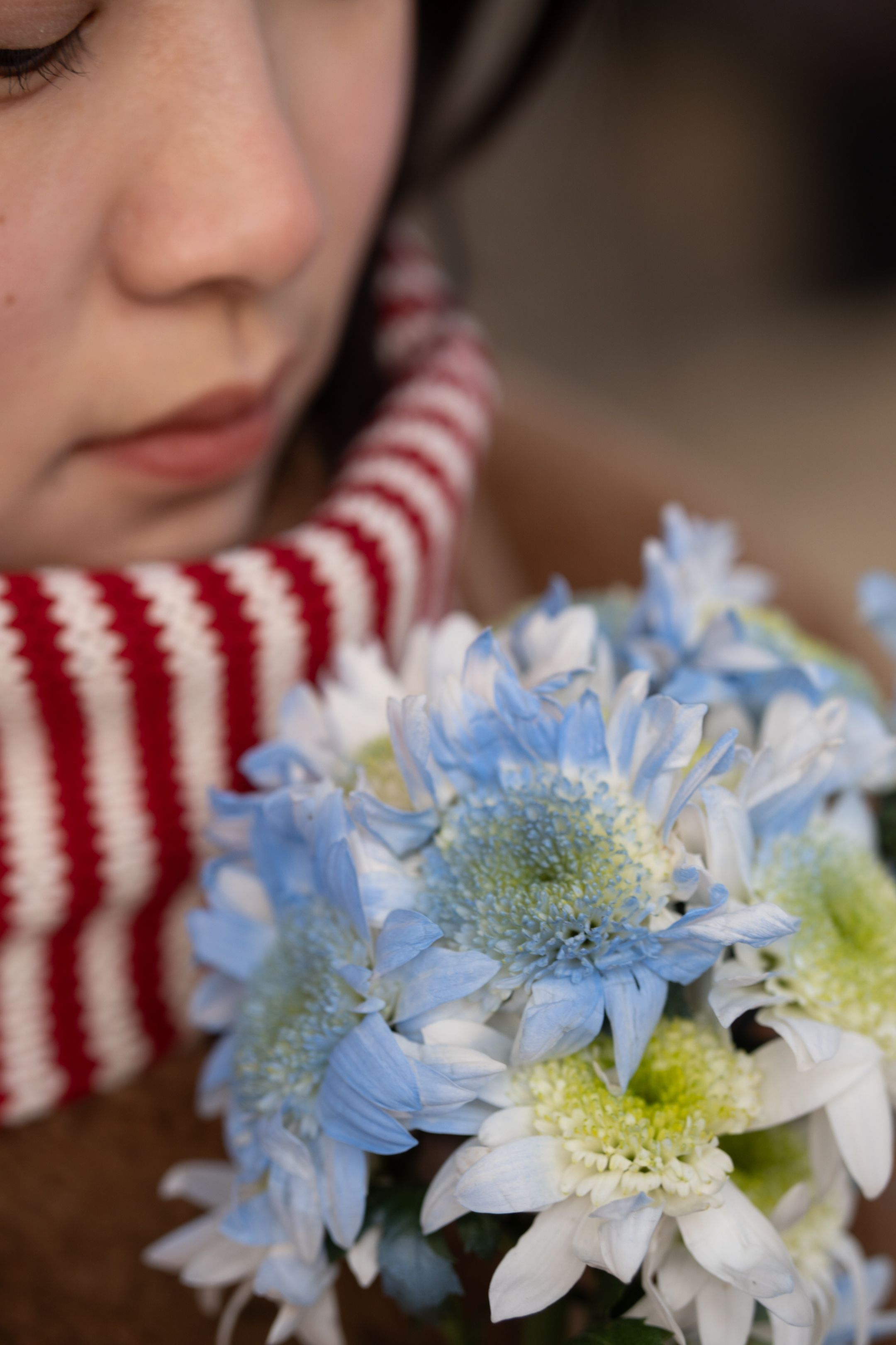 Winter bouquet close up