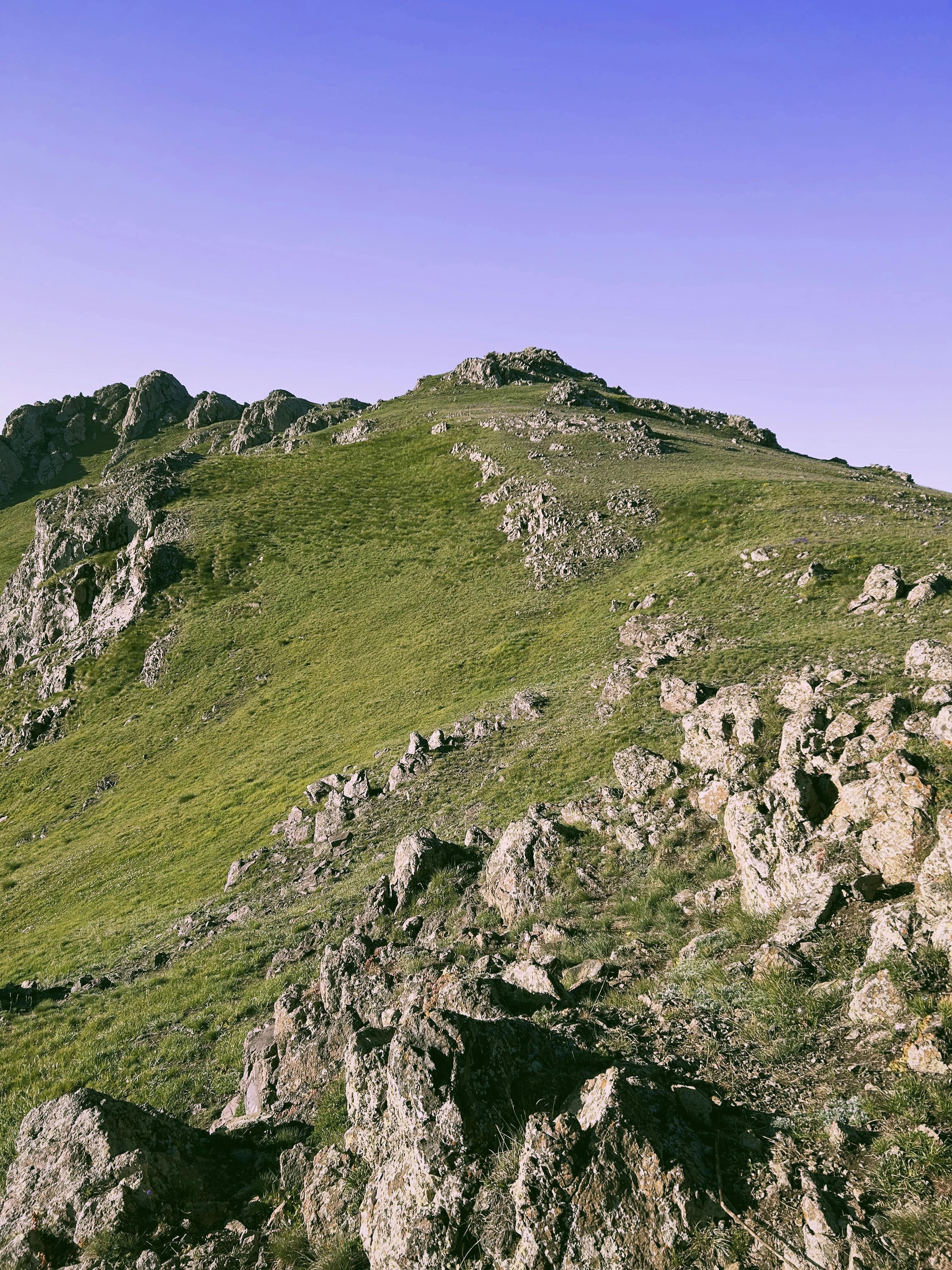 Kapan Menggunakan Mobile-First? Kapan Menggunakan Desktop-First?