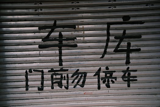 Graffiti in bold Chinese characters on a closed metal shutter in an urban area.