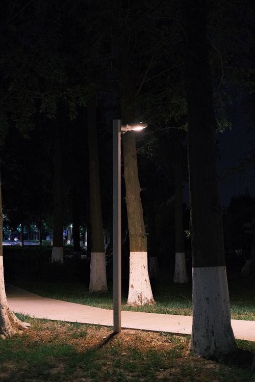 Free Serene nighttime scene with a streetlight illuminating a park pathway surrounded by trees. Stock Photo