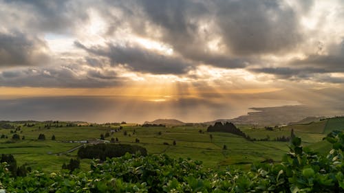 Бесплатное стоковое фото с Азорские острова, виноградник, живописный