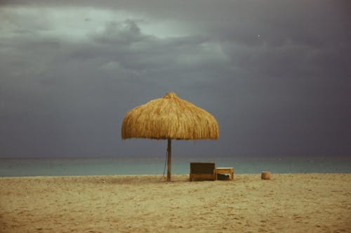 Photos gratuites de eau, été, lit de bronzage