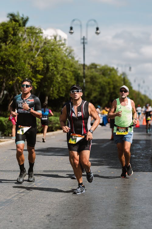 Foto profissional grátis de arbustos, atletas, correr