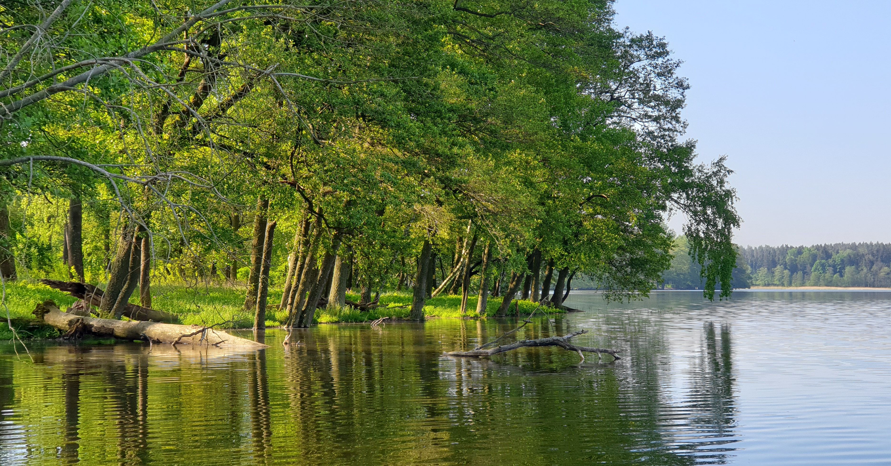 Tranquil view of lush trees reflecting on a calm lake in Piecki, Poland. — photo by Piotr Jachowicz / Pexels