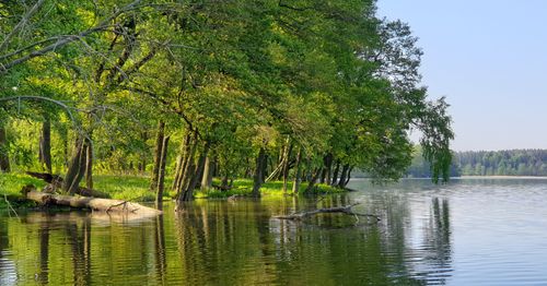 Free Tranquil view of lush trees reflecting on a calm lake in Piecki, Poland. Stock Photo