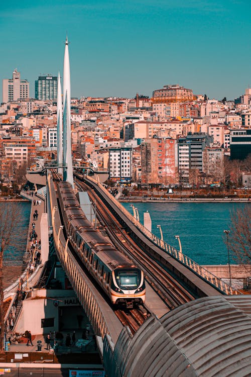 Gratis stockfoto met gouden hoorn, Istanbul, kalkoen